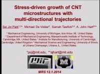 Stress Driven Growth of CNT Microstructures with Multi-Directional Trajectories icon