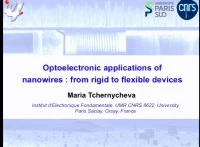 Tutorial - Emerging Applications of Nanowires in Life Sciences and Optoelectronics icon