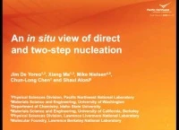 VV2.02 - An In Situ View of Direct and Two-Step Nucleation Dynamics icon