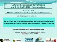 Societal Perception of Nanomaterials, Sustainable Development and Responsible Research: A French Interdisciplinary Approach icon