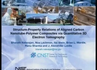 Structure-Property Relations of Aligned Carbon Nanotube: Polymer Composites via Quantitative 3D Electron Tomography icon