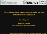 Introduction to Advanced Imaging and Tomography Techniques for Transmission Electron Microscopy: Three-Dimensional Electron Tomographic for Hard and Soft Materials Research - Part 2 icon