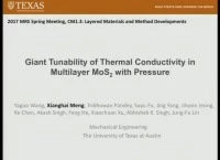 Giant Tunability of Thermal Conductivity in Multilayer MoS2 with Pressure icon