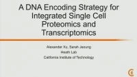 A DNA Encoding Strategy for Integrated Single Cell Proteomics and Transcriptomics icon