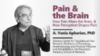 Pain & the Brain: How Pain Alters the Brain, and How Perception Shapes Pain icon