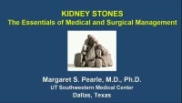 Kidney Stones: The Essentials of Medical and Surgical Management  icon