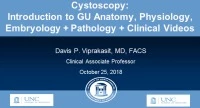 Cystoscopy Workshop  icon