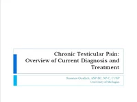 Diagnosis and Management of Chronic Testicular Pain: State of the Science icon