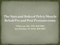The Nuts and Bolts of Pelvic Muscle Rehab Pre and Post-Prostatectomy icon