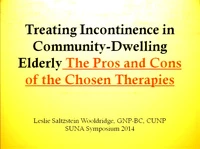 Treating Incontinence in Community-Dwelling Elderly: The Pros and Cons of the Chosen Therapies icon