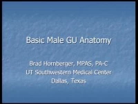 Basic Male Anatomy icon