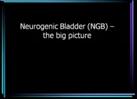 Neurogenic Bladder: The Big Picture icon