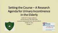 Setting the Course: A Research Agenda for Urinary Incontinence in the Elderly icon