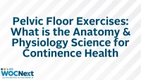 Pelvic Floor Exercises: What is the Anatomy & Physiology Science for Continence Health icon