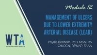 Management of Ulcers due to Lower Extremity Arterial Disease (LEAD) icon