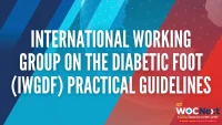 310: International Working Group on the Diabetic Foot (IWGDF) Practical Guidelines icon
