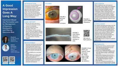 A Good Impression Goes a Long Way: Impression-Based Gas Permeable Lens for Management of Exposure Keratopathy and Filtering Glaucoma Bleb