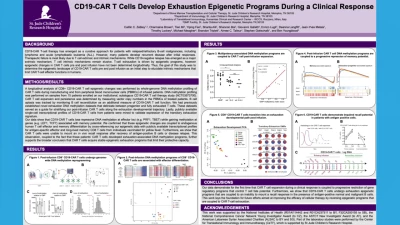 CD19-CAR T Cells Develop Exhaustion Epigenetic Programs During a Clinical Response