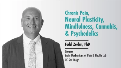 Chronic Pain, Neural Plasticity, Mindfulness, Cannabis, & Psychedelics icon