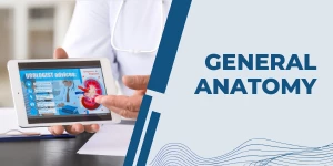 General Anatomy