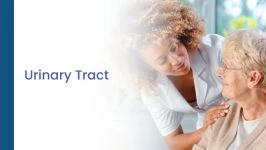 Urinary Tract