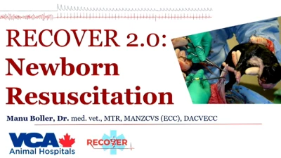 RECOVER 2.0: Newborn Resuscitation icon