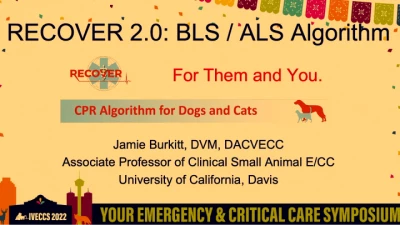 RECOVER 2.0: BLS and ALS Algorithm icon
