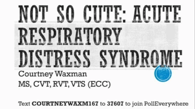 Not So Cute: Acute Respiratory Distress Syndrome icon