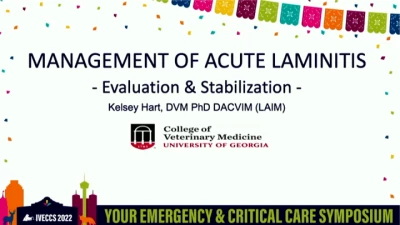 Management of Acute Laminitis: Evaluation and Stabilization icon