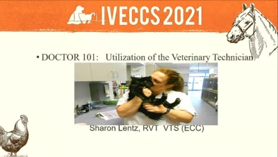 Doctors 101: Utilization of the Veterinary Techcnician icon