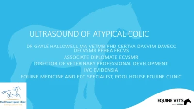 Ultrasound of the Atypical Colic icon