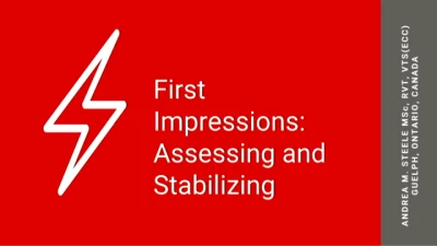 First Impressions Count: Assessing and Stabilizing icon