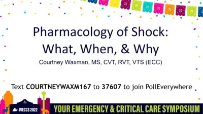 Pharmacology of Shock: What, When, & Why icon