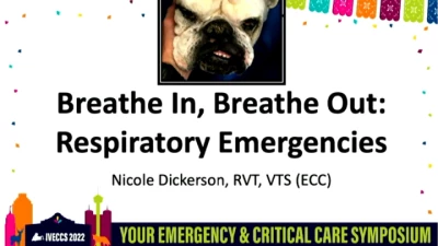 Breathe In, Breathe Out: Respiratory Emergencies icon