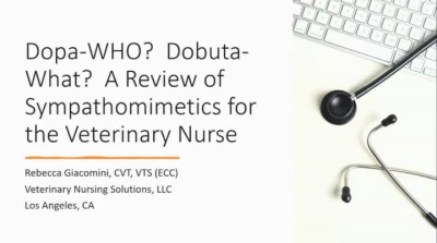 Dopa-Who? Dobuta-What? A Review of Sympathomimetics for the Veterinary Nurse icon