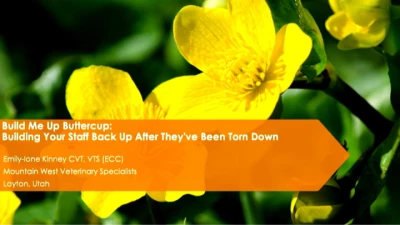 Build Me Up Buttercup: Building Your Staff Back Up After They've Been Torn Down icon