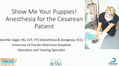 Show Me Your Puppies! Anesthesia for the Cesarean Patient icon
