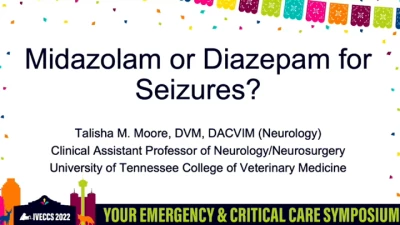 Midazolam or Diazepam for Seizures? icon