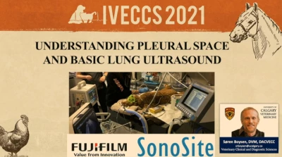 Understanding Pleural Space and Basic Lung Ultrasound icon
