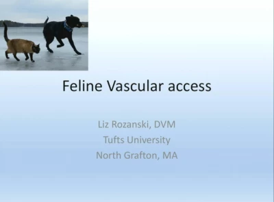 Vascular Access in the Cat icon