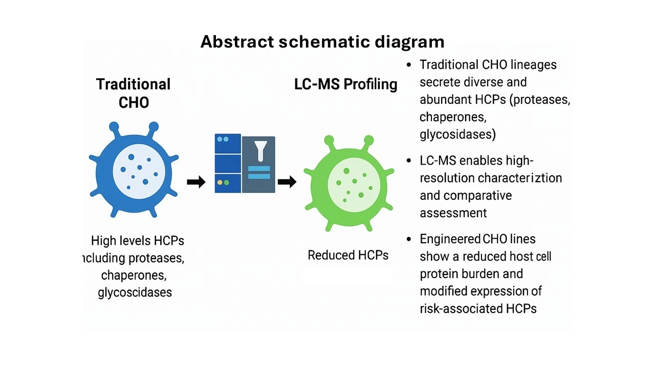 Host cell protein conundrum: Next-generation CHO cell lineages with ...