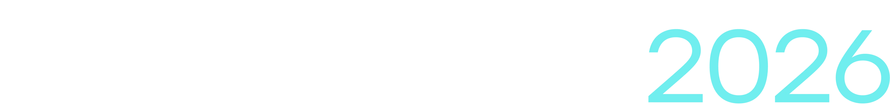 custom image