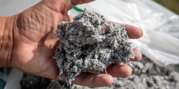 Circular Economy Mindset