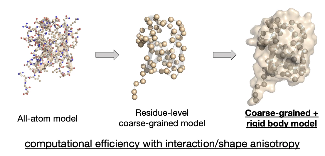 CGRig: A coarse-grained rigid-body molecular dynamics simulation ...
