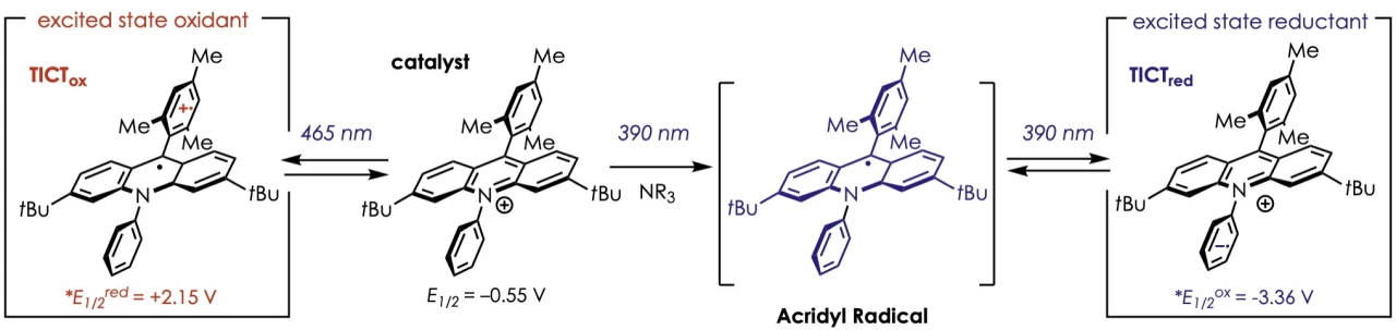 Excited state acridyl radicals - mechanisms and reactivity - American ...