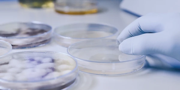 Biomanufacturing & Processing