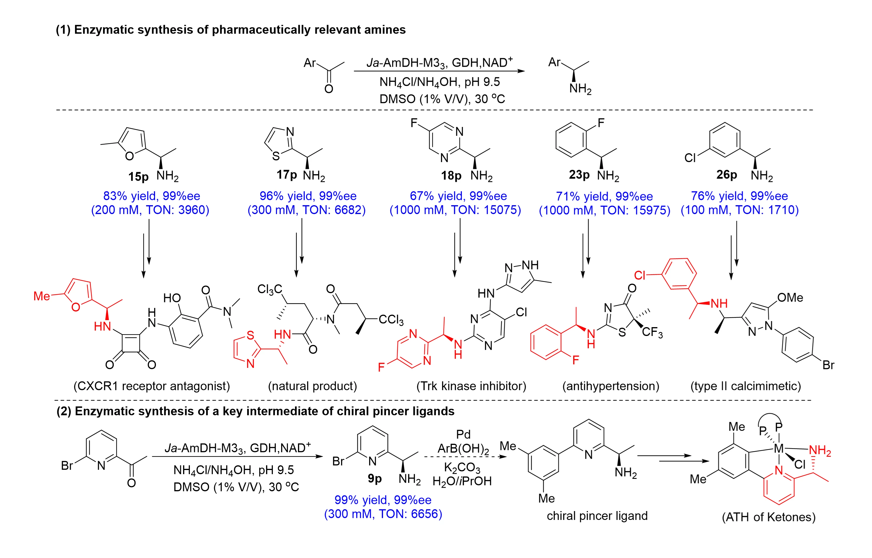 ACS Spring 2024 - Current & Upcoming Schedule - American Chemical Society