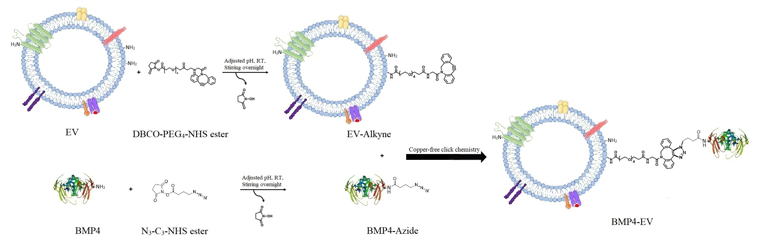 ACS Spring 2024 Current & Schedule American Chemical Society