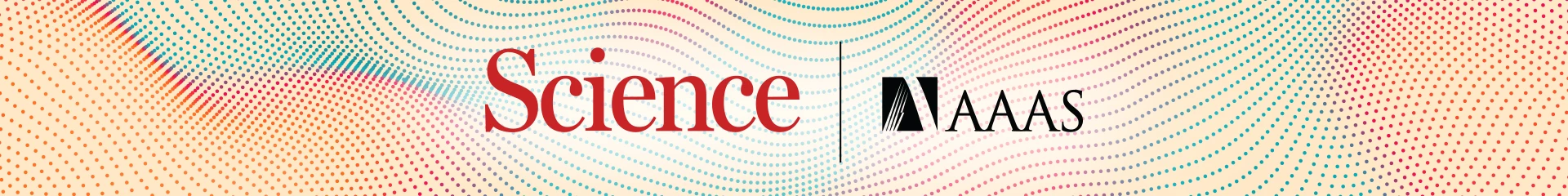 Rotating banner image