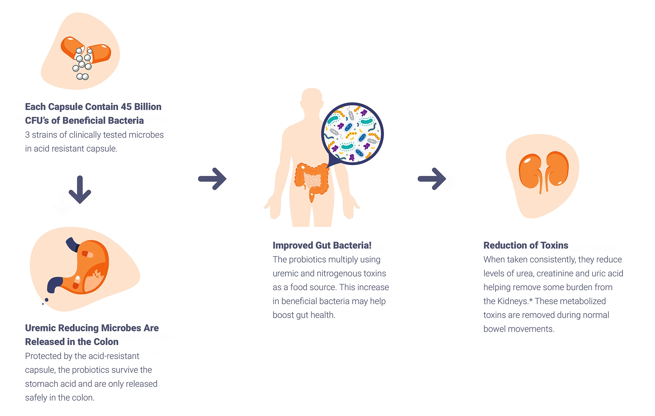 custom image custom image